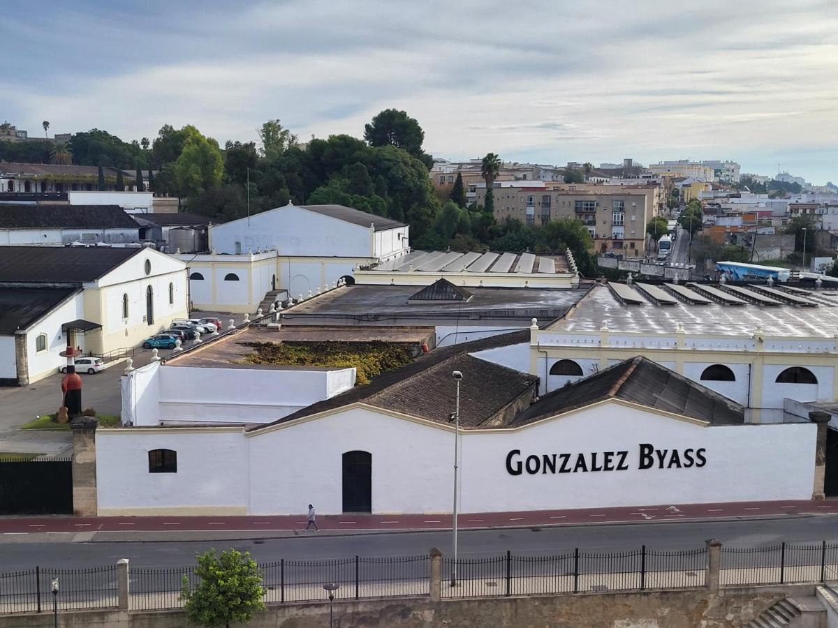 Apartment Alazan Jerez Iv-parking Gratis-wifi-netflix *